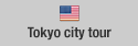 Tokyo city tour
